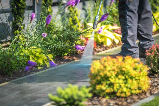 Best Gutter Cleaning  in Long Beach, CA